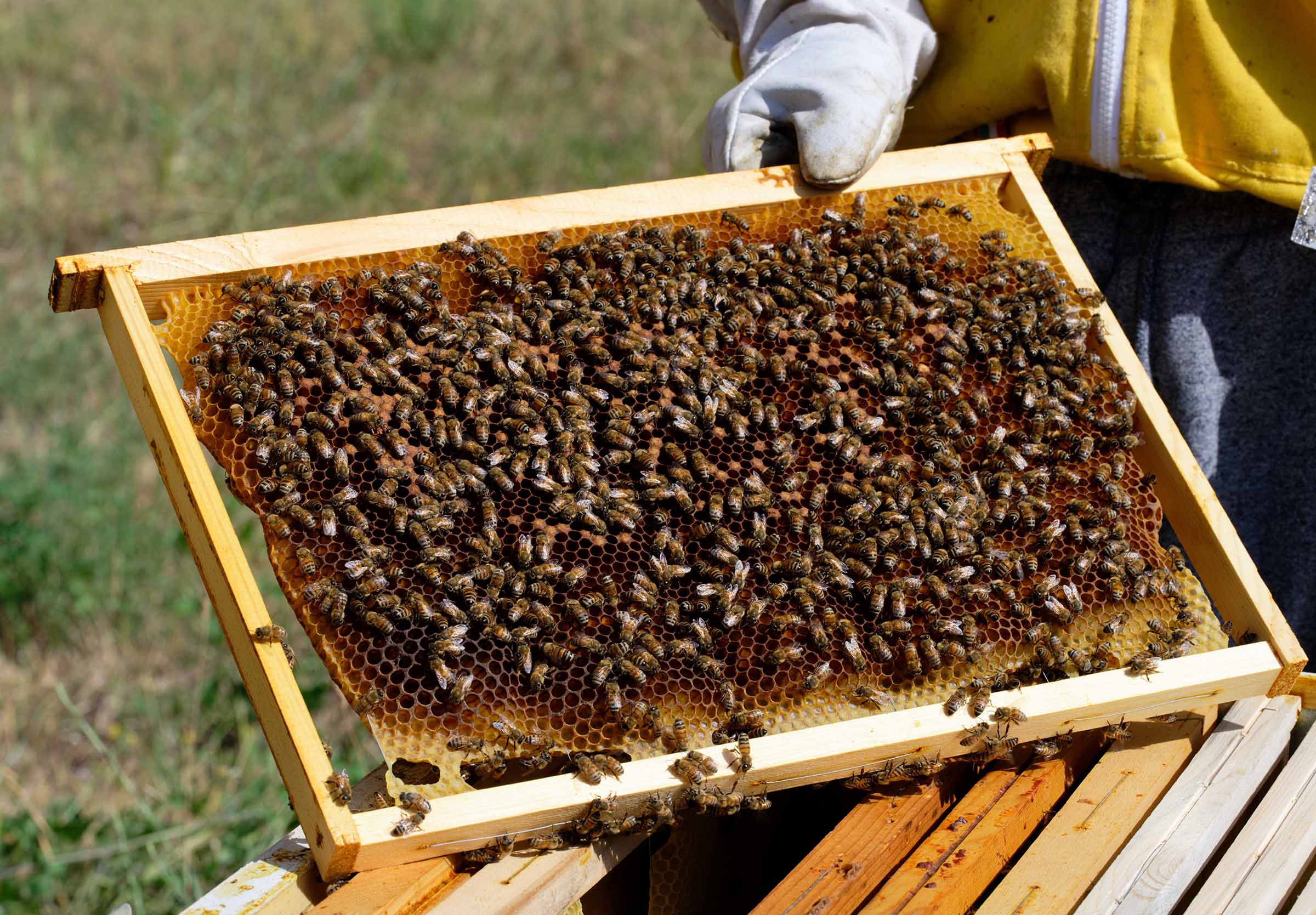 _Z7B1272_DxO%20GR%20PS