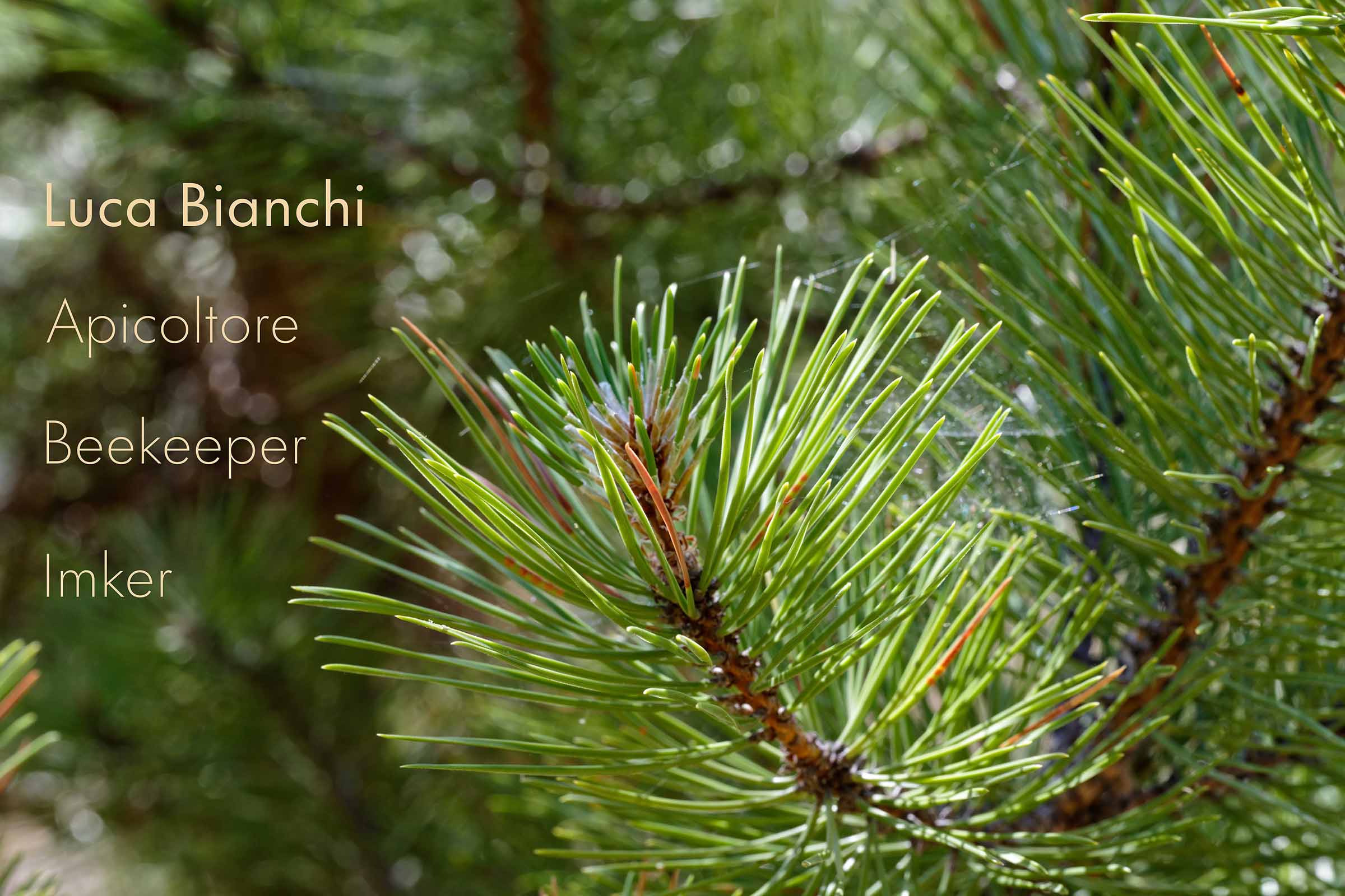 _Z7B1353_DxO%20LB_DxO%20PS