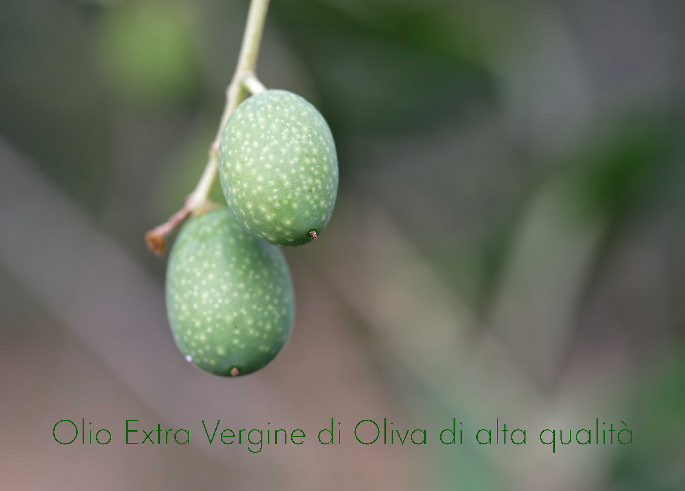 Le%20Marche%20Blog%20LM