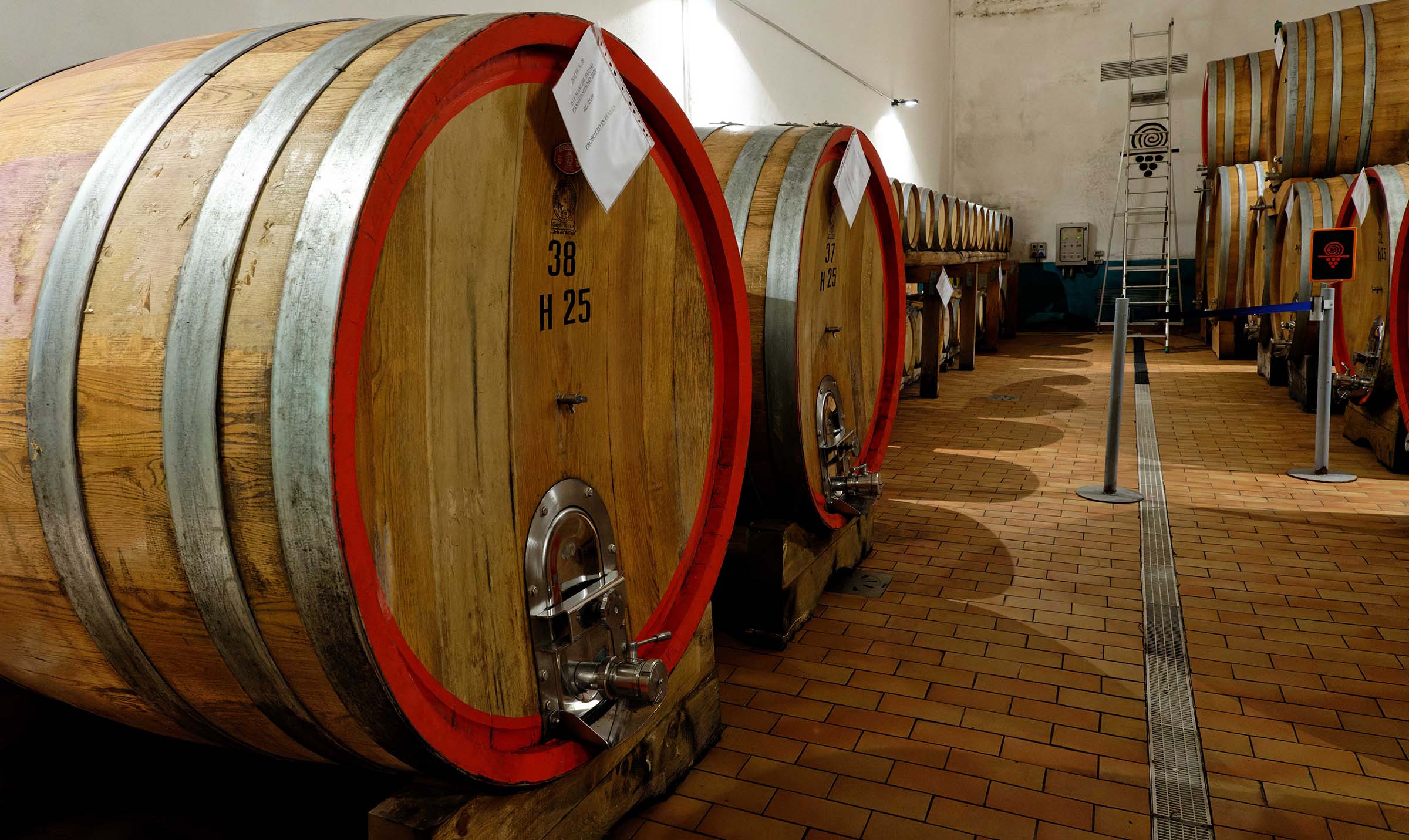 _Z7C6963_DxO%20PS%2024