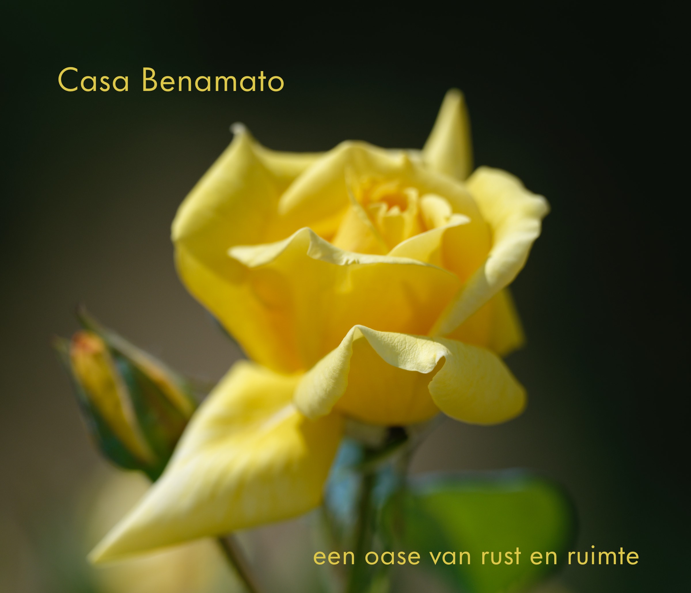 Le%20Marche%20Blog%20LM