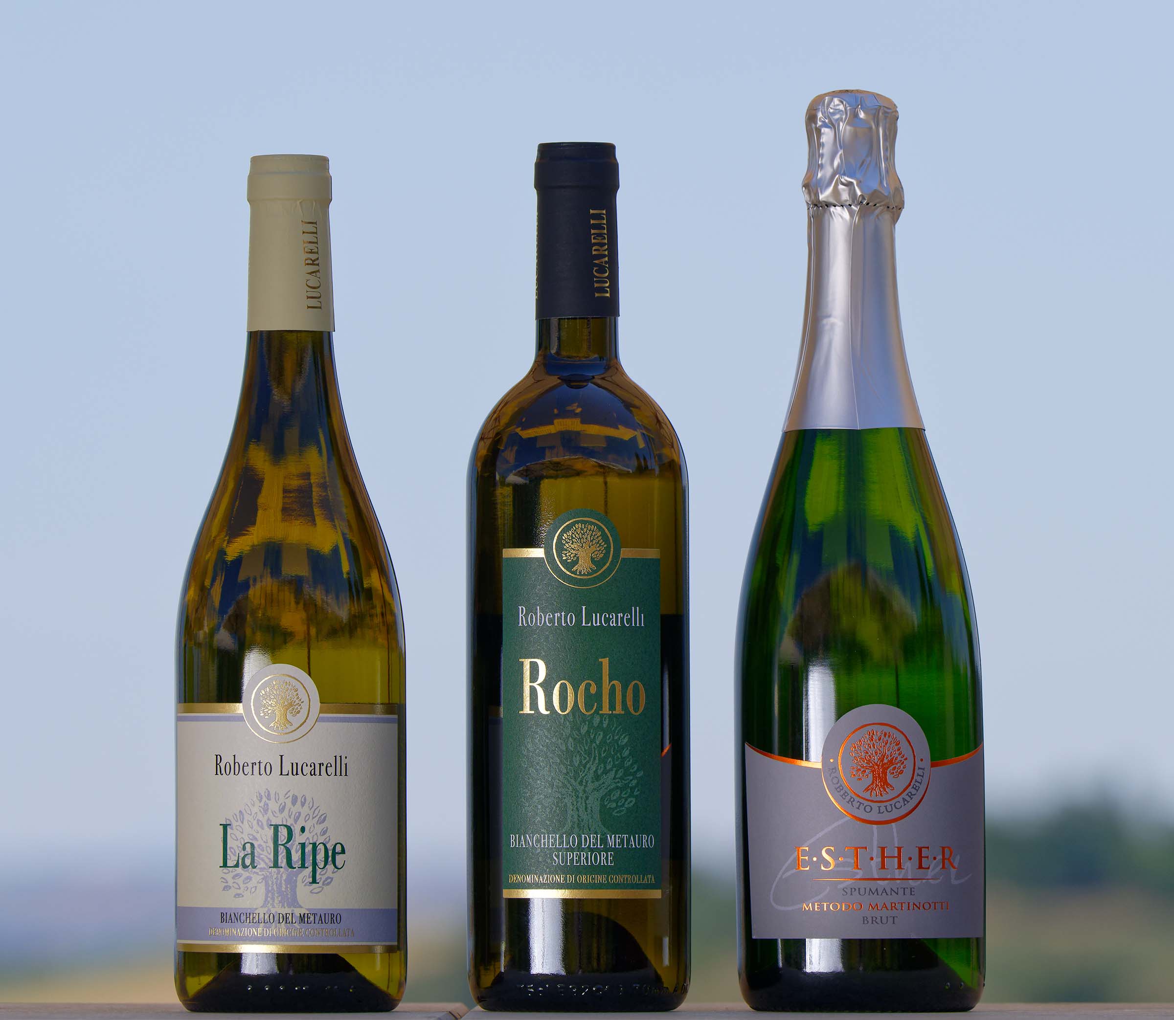 _Z7D1520_DxO%20def24